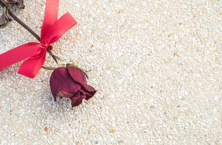 Closeup dried red rose with red ribbon on blurred stone floor texture backgroundの写真素材