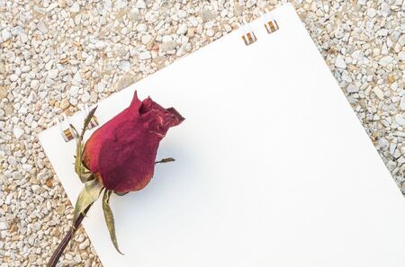 Closeup dried red rose with white note paper on stone floor texture backgroundの写真素材