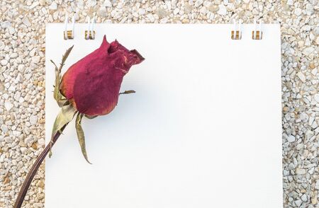 Closeup dried red rose with white note paper on stone floor texture backgroundの写真素材