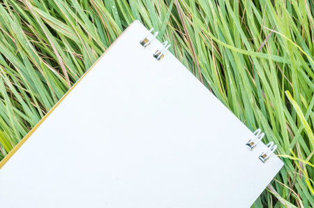 Closeup paper note on green grass texture backgroundの写真素材