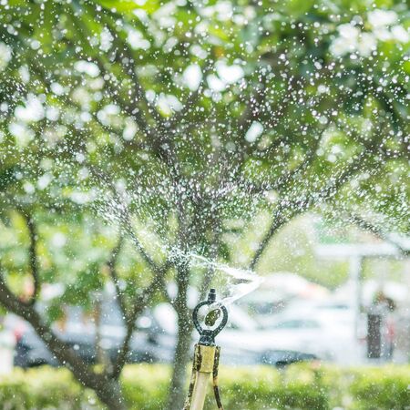 Springer , automatic watering is working in the gardenの写真素材