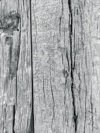 Closeup surface wood pattern at the old wood board wall textured background in black and white toneの写真素材