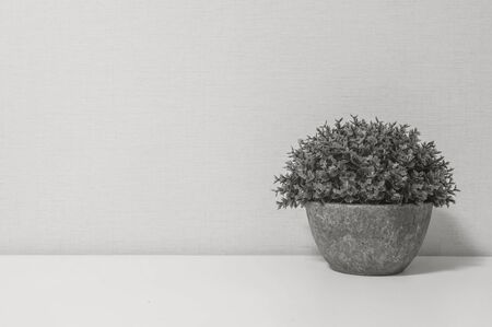 Closeup artificial purple plant on pot for decorate on blurred wooden white desk and wall textured background in room in black and white tone with copy spaceの写真素材