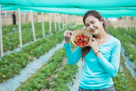 Closeup asian woman show strawberry fruit in wooden basket in strawberry farmの写真素材