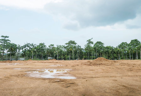 Landscape of car park after rain with tree and sky with black cloud backgroundの写真素材