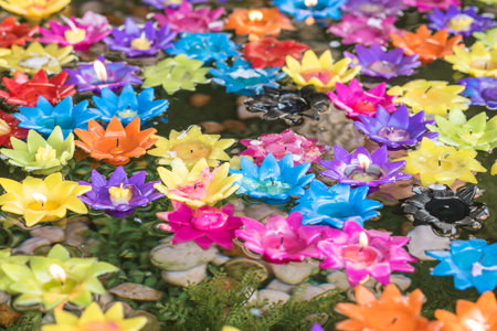 Closeup purple candle in flower shape on blurred colorful flower candle floating on water textured...