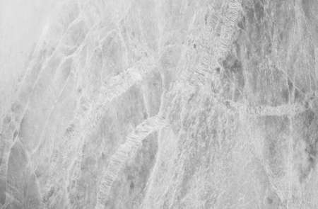 Closeup surface abstract marble pattern at the marble stone floor texture background in black and white toneの写真素材