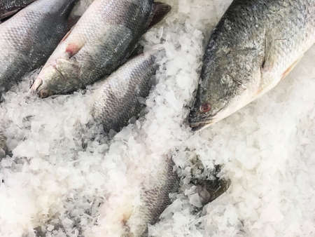 Closeup pile of raw freeze dead fish for cook in tray with ice textured backgroundの写真素材