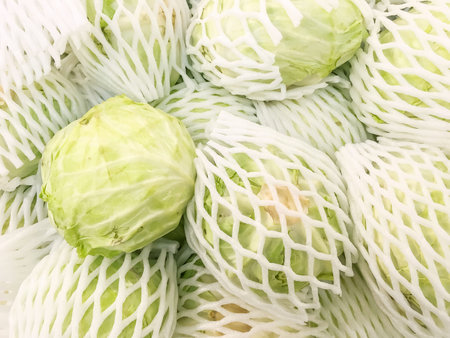 Closeup surface pile of green cabbage in mesh Foam for sell textured backgroundの写真素材