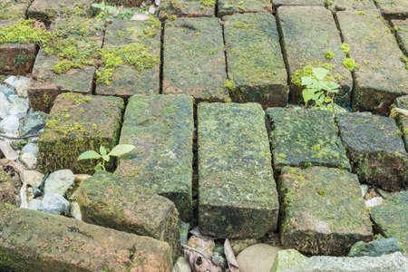 Closeup old and dirty brick pathway with water moss texture backgroundの写真素材