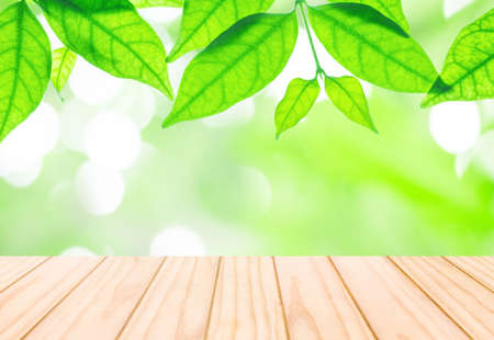 Closeup fresh green leaves with wood terrace on blurred abstract light spot bokeh in the park background with copy spaceの写真素材
