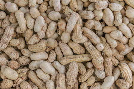 Closeup boiled peanuts full screenの写真素材