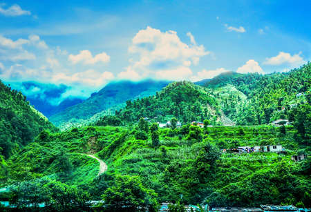 Fields, forests, mountains and blue sky.の写真素材