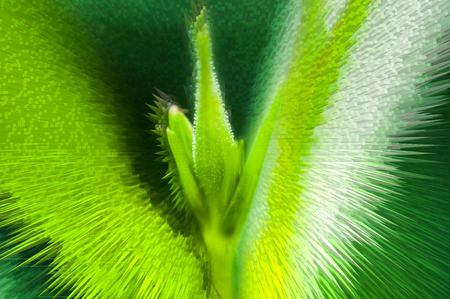 Abstract colorful background. Colour graphic for web design wallpaper. Color graphics texture.の写真素材