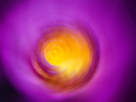 Purple Color spin effect. Background blurの写真素材