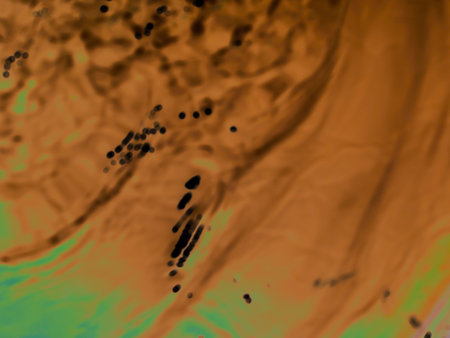 River, the pond ripple, swimming pool.