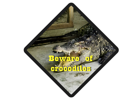 Beware ofcrocodiles. Warning signs to watch out for crocodiles.の写真素材