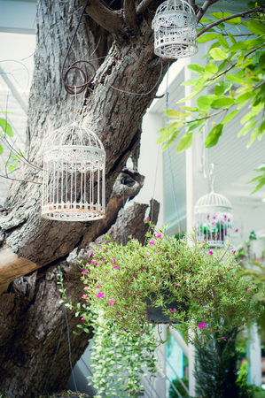 Tree branches without leaves are glossy black side .の写真素材