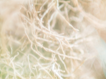 Abstract nature background image. Blurred abstract image of leaves, rootsの写真素材