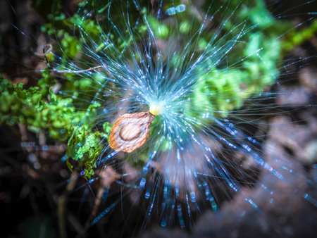 The abstract fiber picture is decorated to have the same color as the network fiber and the light...