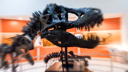 Dinosaur Museum to the east of the country within a large dinosaur skeleton federation. Abstract blur.のeditorial素材