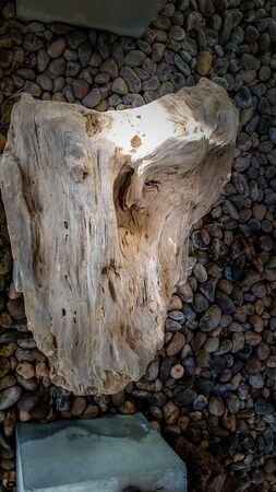Wood fossil The wood is buried in the soil so long that it becomes a stone similar to the fossil of a dinosaur.の写真素材