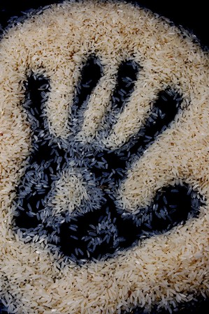  footprint riceの写真素材
