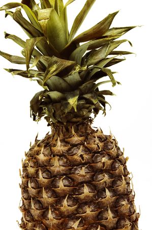 pineappleの写真素材
