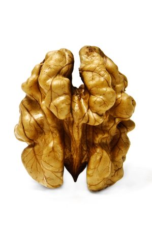 nutの写真素材