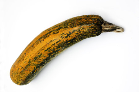 zucchiniの写真素材