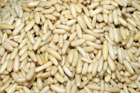 pinionsの写真素材