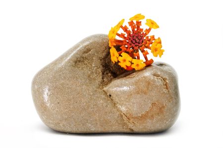 stone and flowerの写真素材