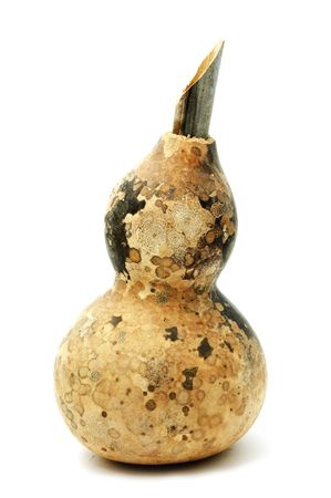 pumpkinの写真素材