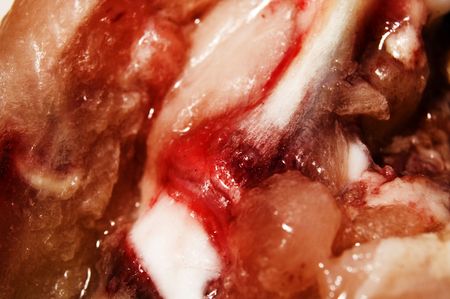 flesh backgroundの写真素材