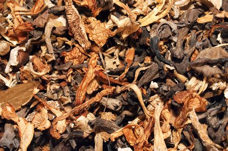 dried mushroomsの写真素材