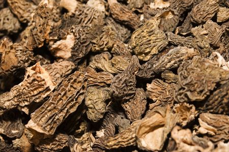 dried mushroomsの写真素材