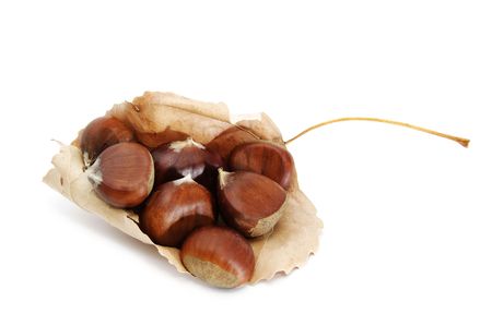 chesnutsの写真素材