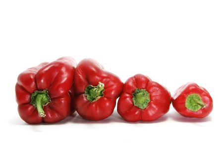 four red  peppers  on awhite backgroundの写真素材