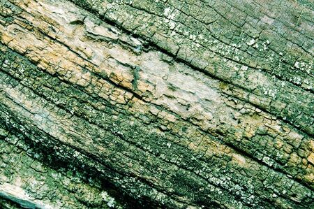 background made of a close-up of the wallの写真素材