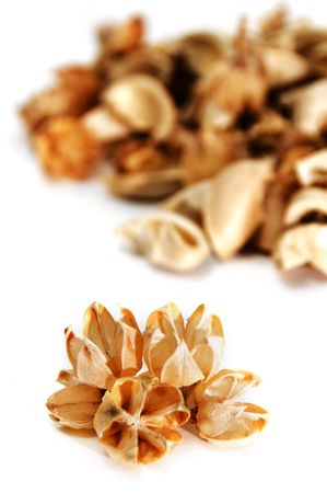 closeup of ornamental dried fruits on a white backgroundの写真素材