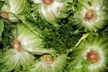 a pile of escaroles in a vegetables marketの写真素材