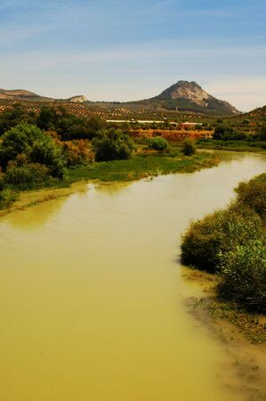 a view of Genil river, in Andalusia, Spainの写真素材