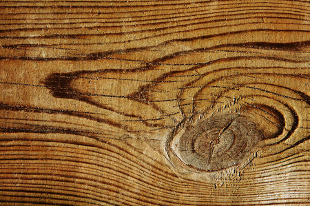closeup of a wood background
