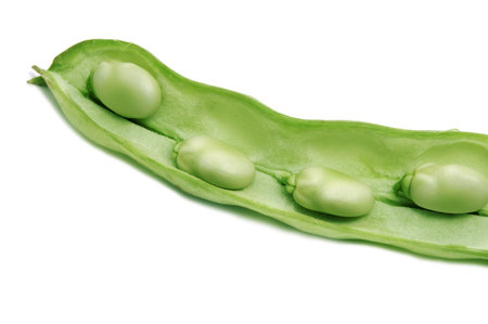 close up of some broad beans inside the pod