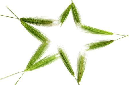 barley spikes forming a star isolated on a white backgroundの写真素材