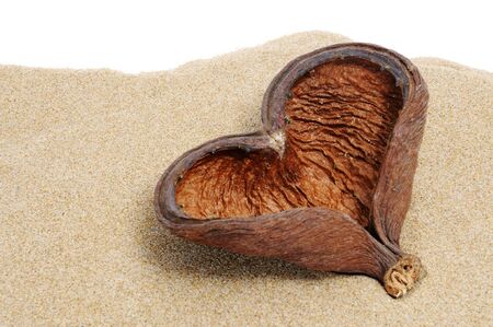 a heart-shaped shell with over the sand on white backgroundの写真素材