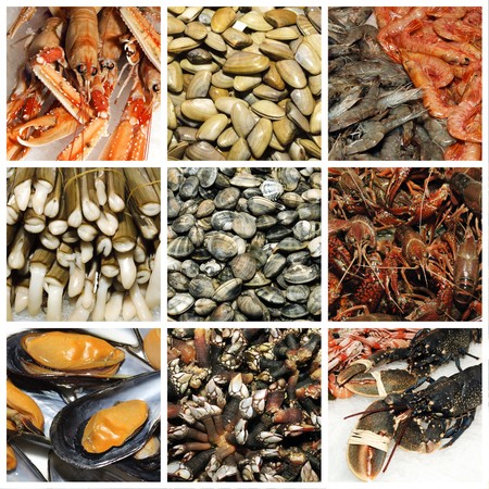 a collage of nine pictures of different seafoodの写真素材