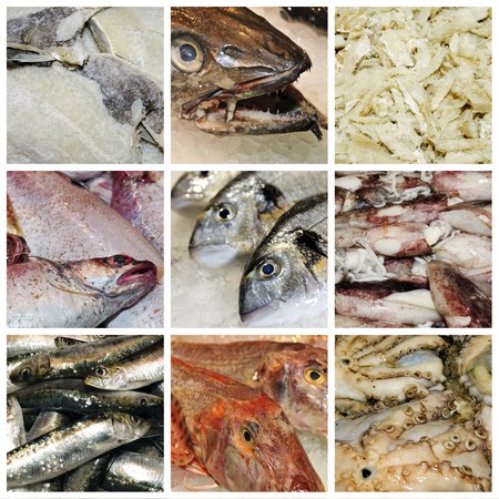 a collage of nine pictures of different seafoodの写真素材