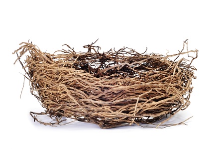 a nest isolated on a white backgroundの写真素材