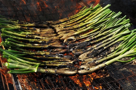 a bunch of calcots, typical catalan sweet onions, on the barbecueの写真素材